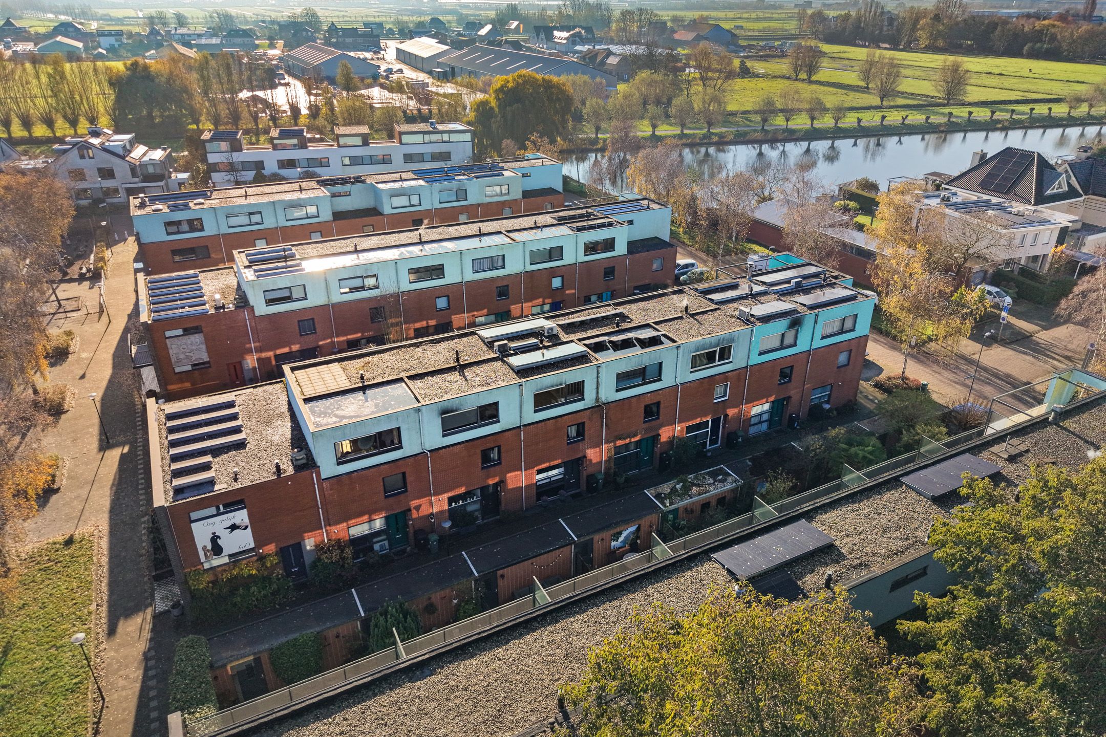 Foto 6 van Goudenregenzoom 119