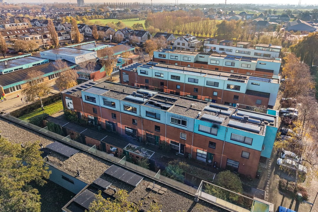 Foto 7 van Goudenregenzoom 119