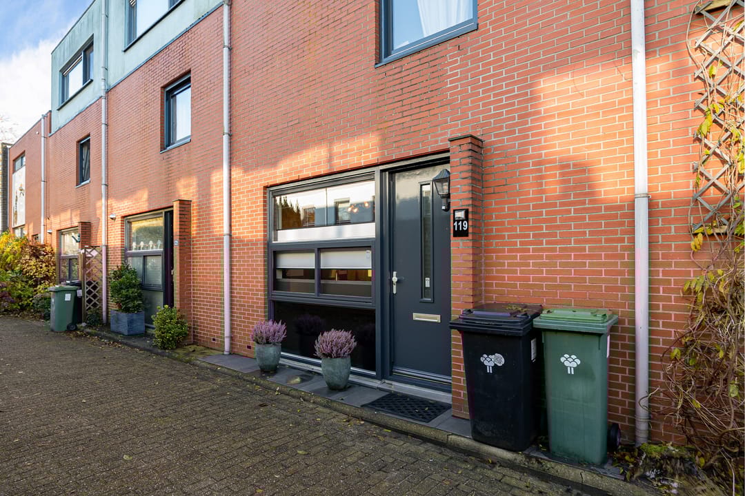 Foto 8 van Goudenregenzoom 119