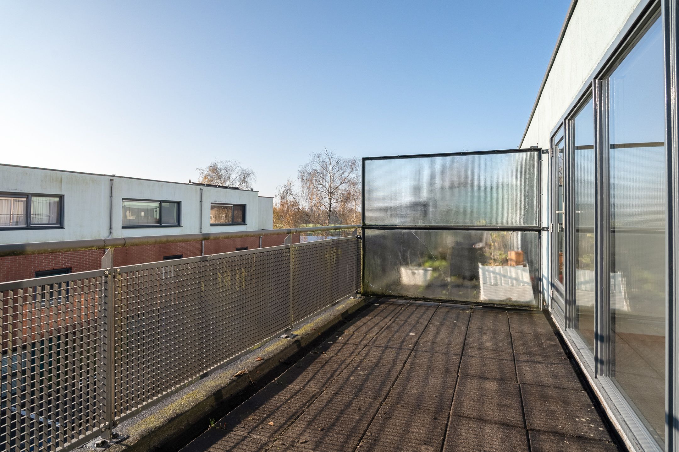 Foto 54 van Goudenregenzoom 119