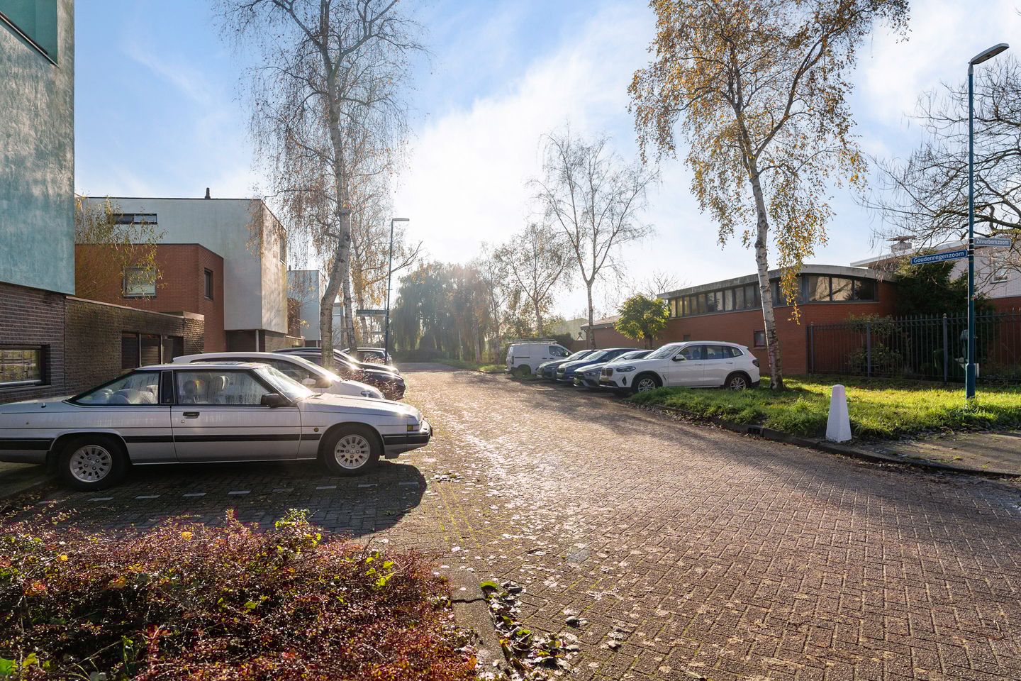 Foto 59 van Goudenregenzoom 119