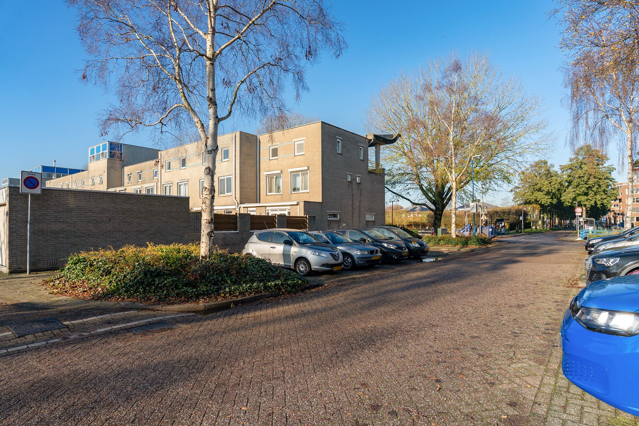 Foto 60 van Goudenregenzoom 119