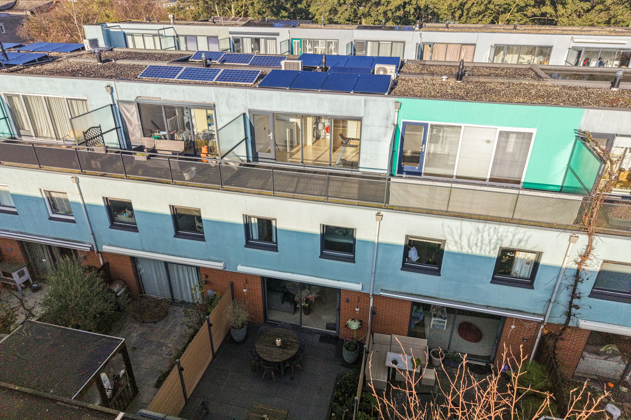 Foto 63 van Goudenregenzoom 119