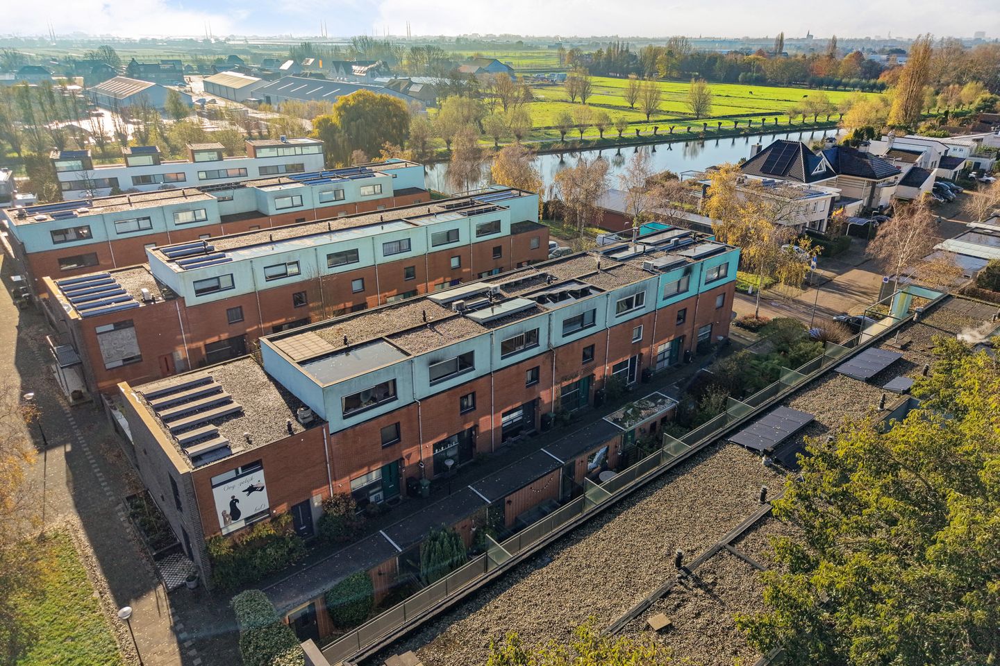 Foto 64 van Goudenregenzoom 119