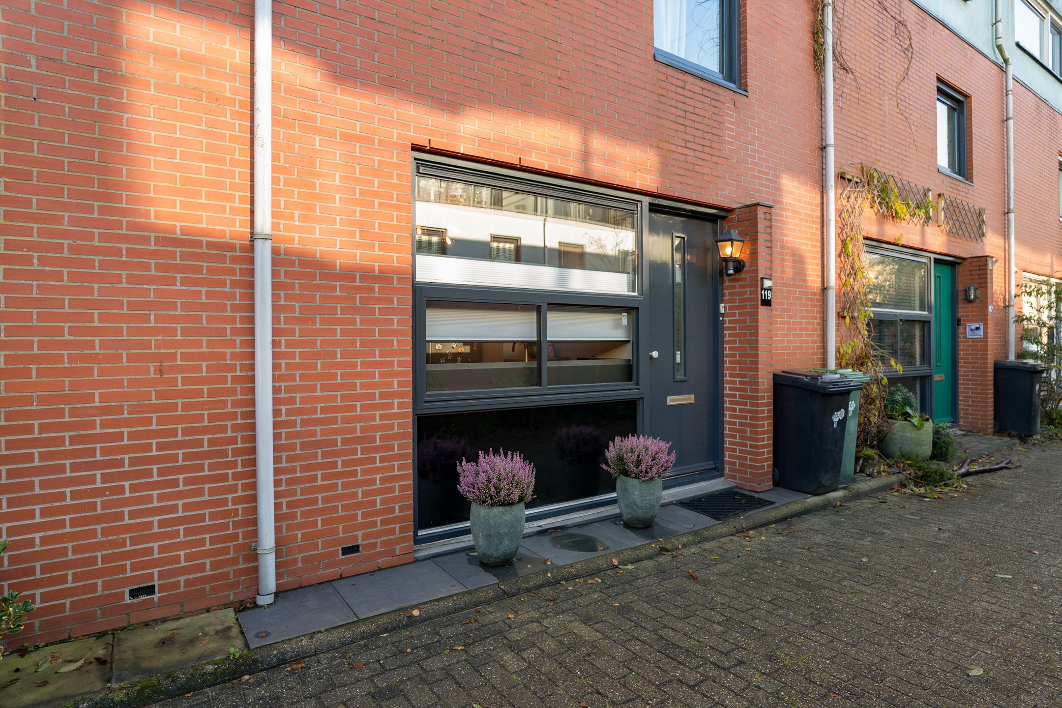 Foto 9 van Goudenregenzoom 119