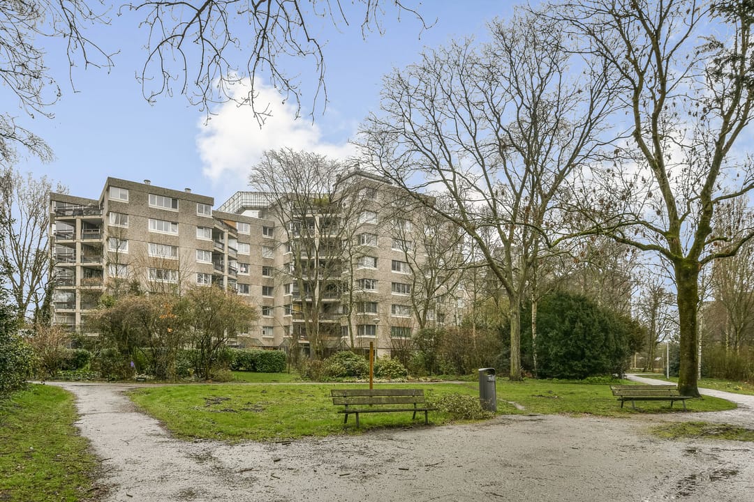 Foto 1 van Gouden Leeuw 1027