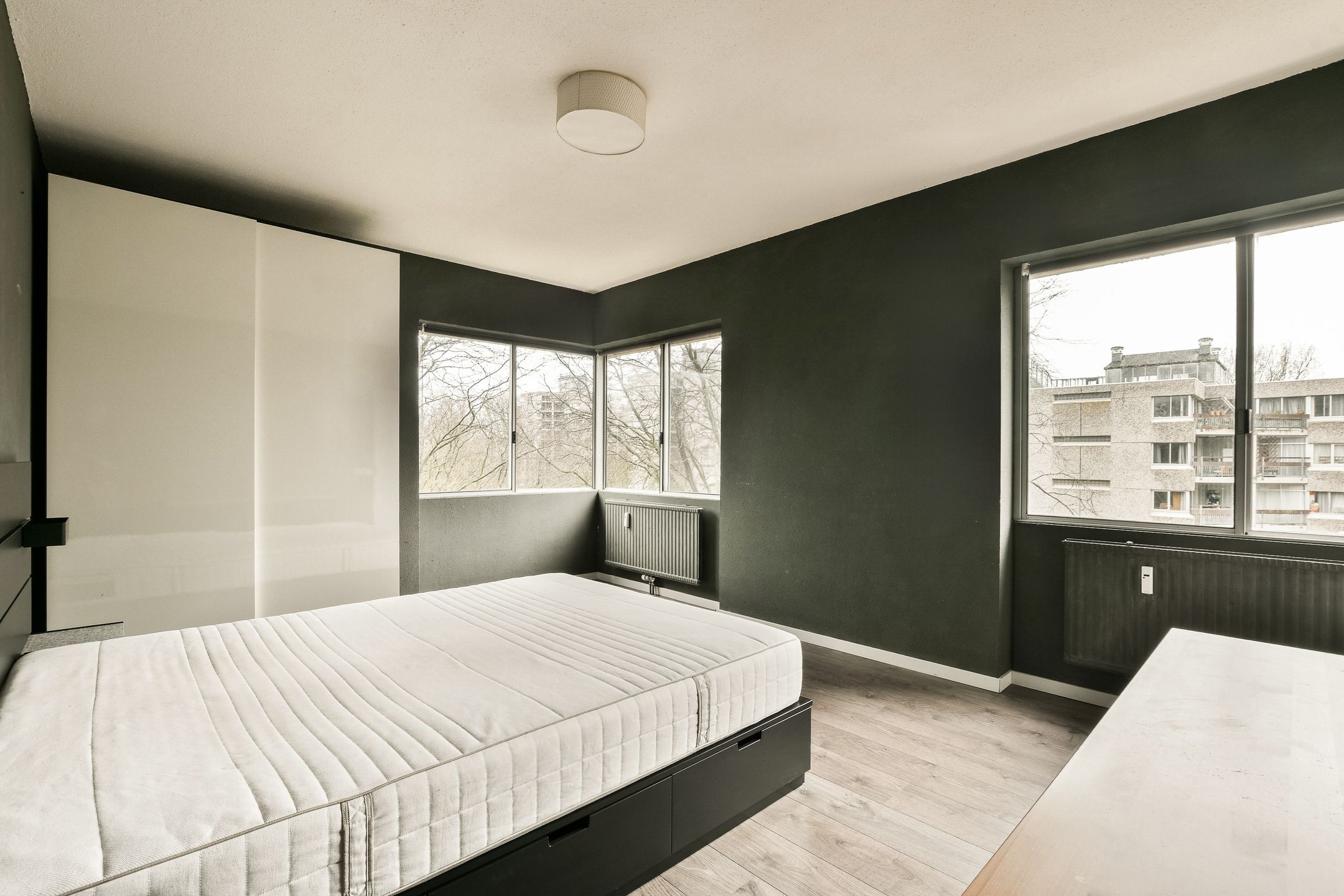 Foto 12 van Gouden Leeuw 1027