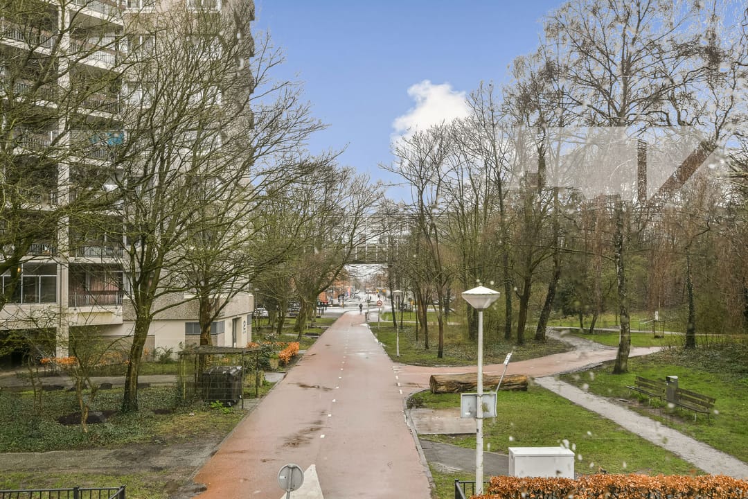 Foto 23 van Gouden Leeuw 1027