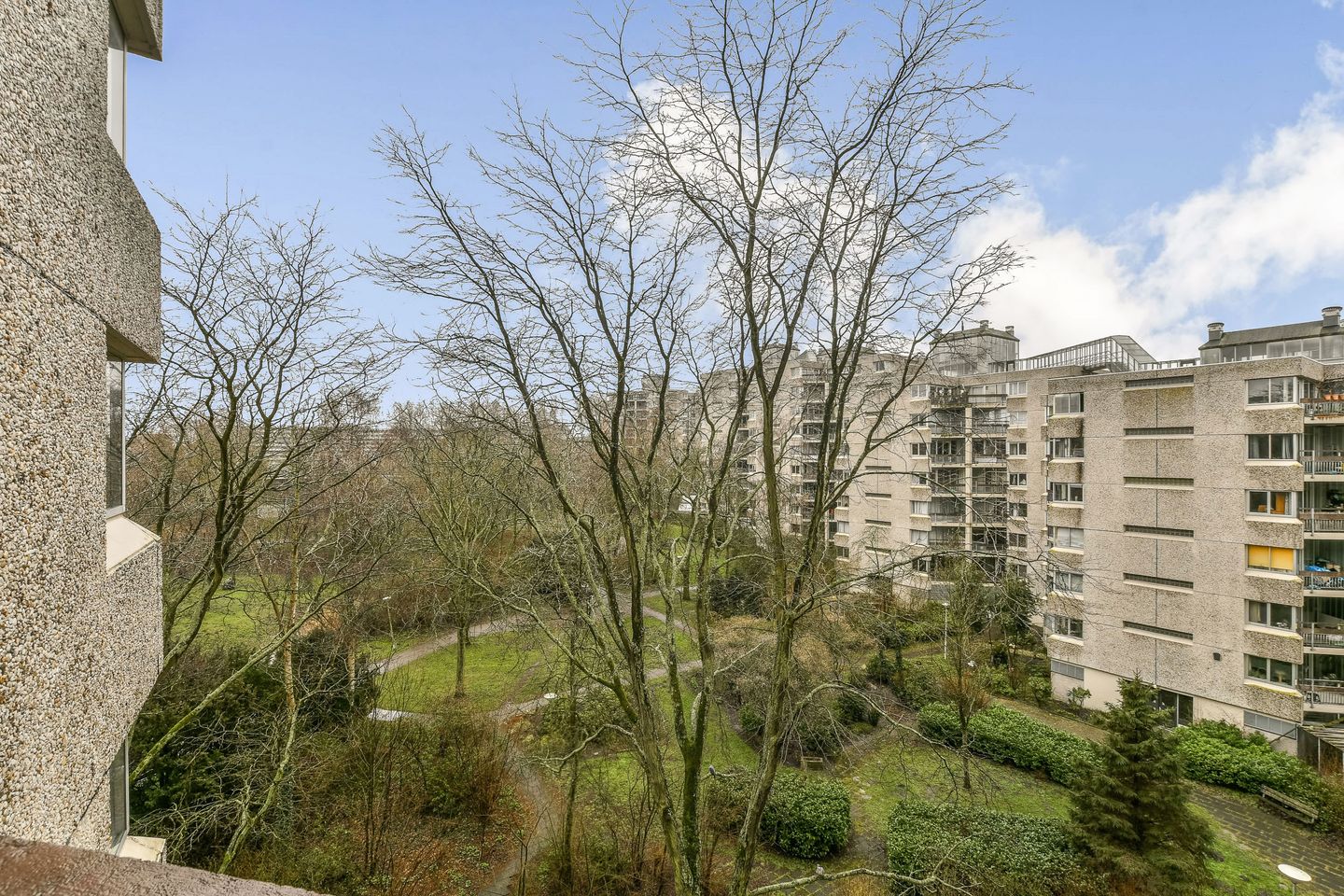 Foto 4 van Gouden Leeuw 1027