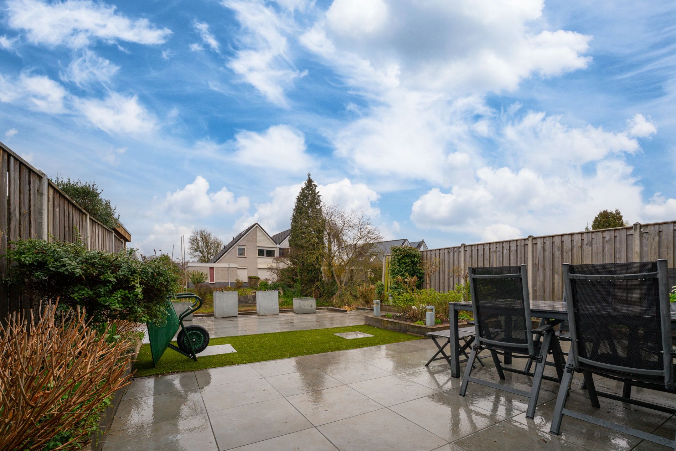 Foto 3 van Golden Delicious 40