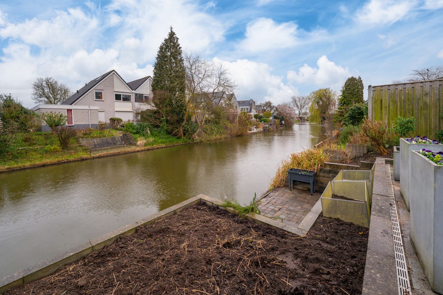 Foto 4 van Golden Delicious 40