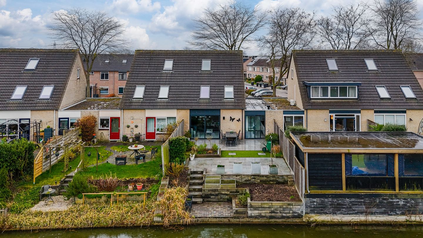 Foto 5 van Golden Delicious 40