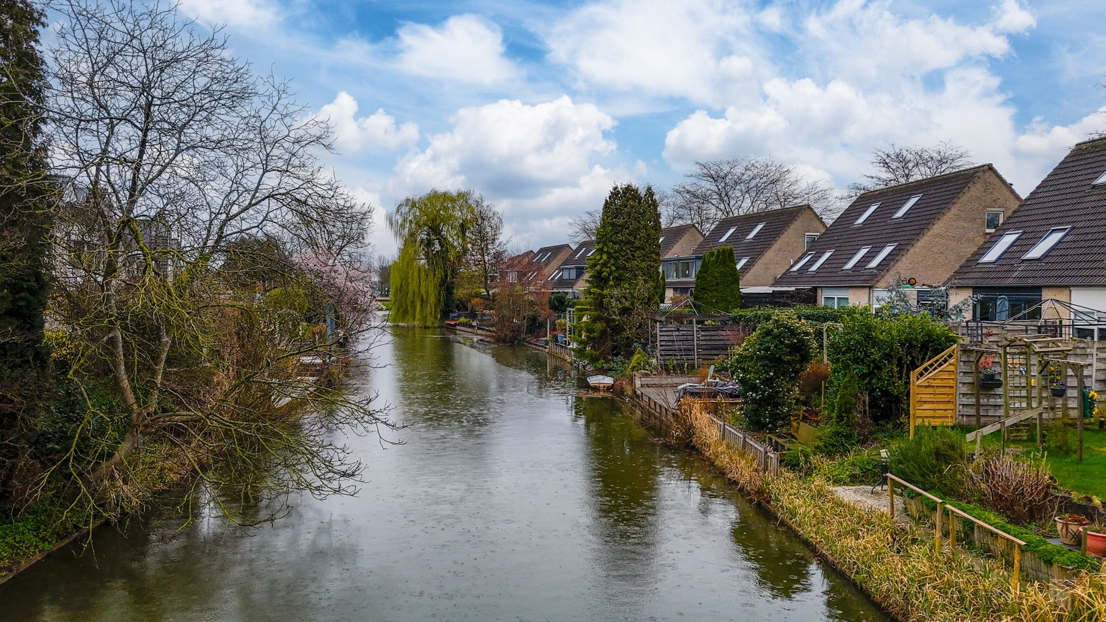 Foto 6 van Golden Delicious 40