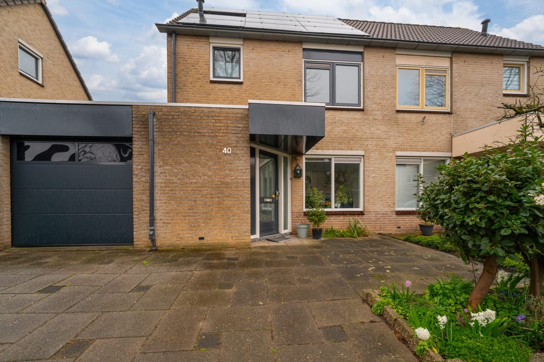 Foto 7 van Golden Delicious 40