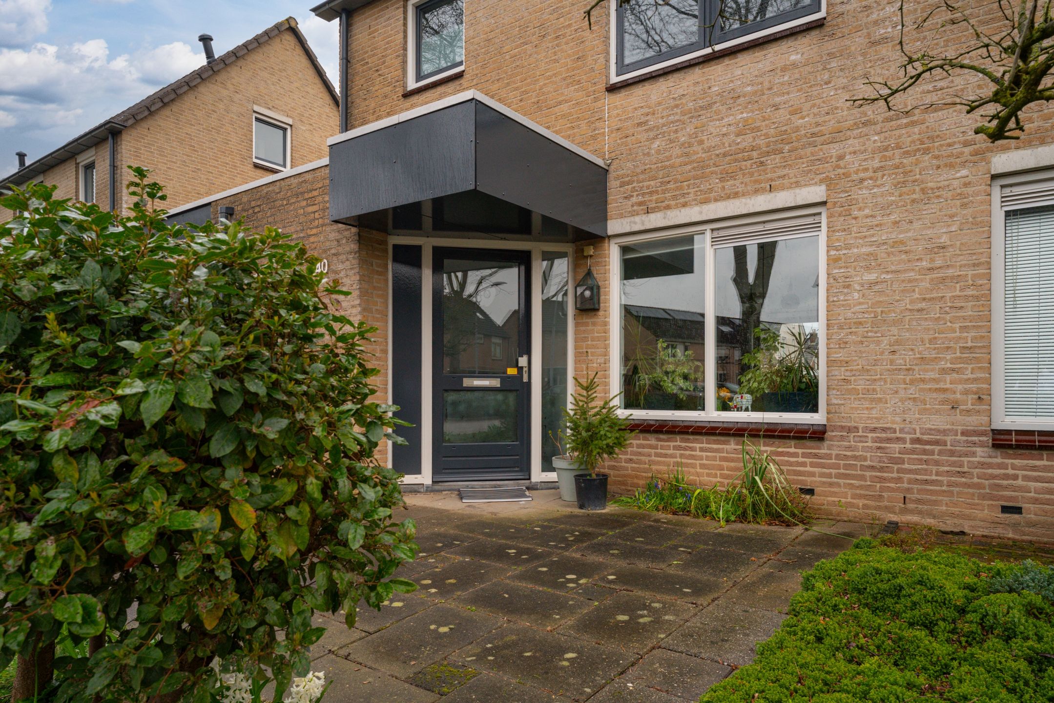 Foto 9 van Golden Delicious 40