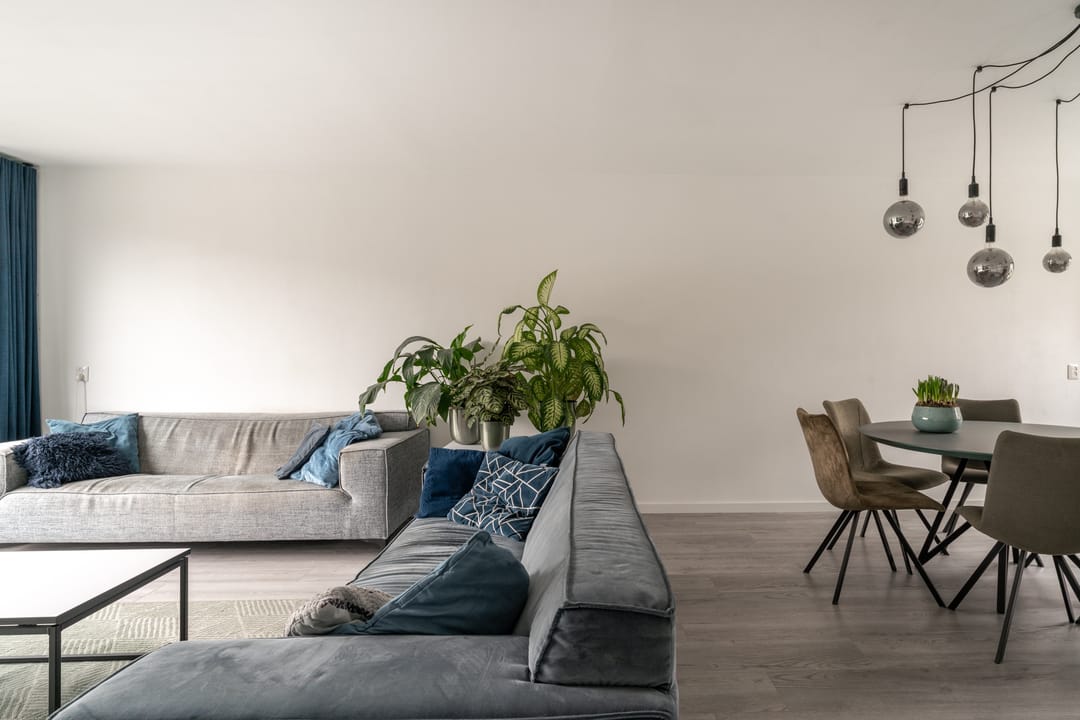 Foto 13 van Golden Delicious 40