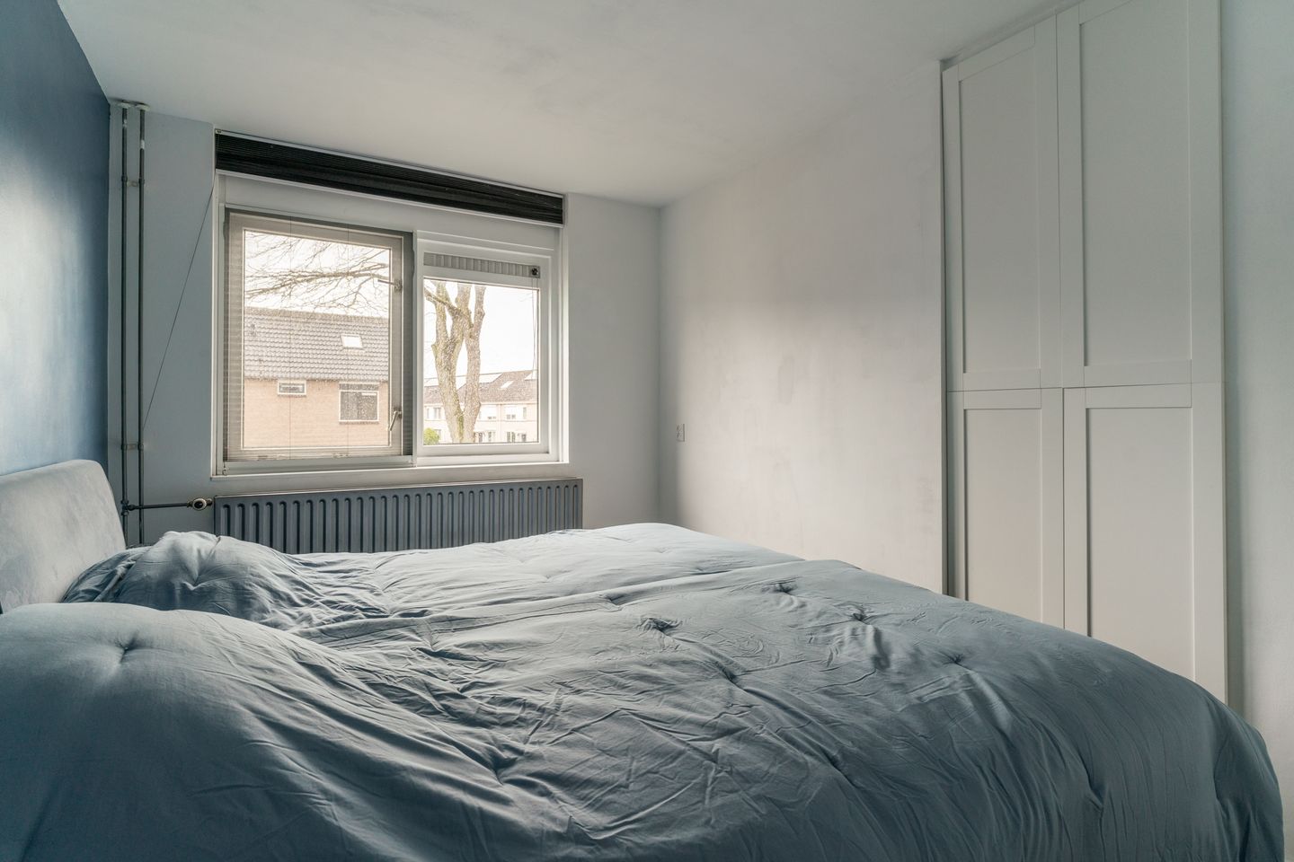 Foto 34 van Golden Delicious 40