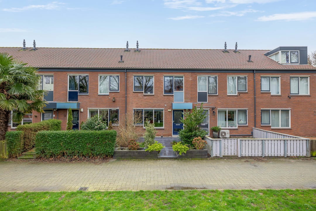 Photo 1 of Zilverreiger 8