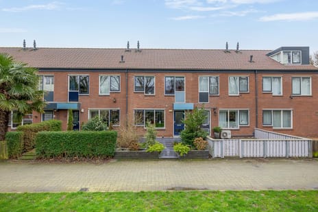 Zilverreiger thumbnail
