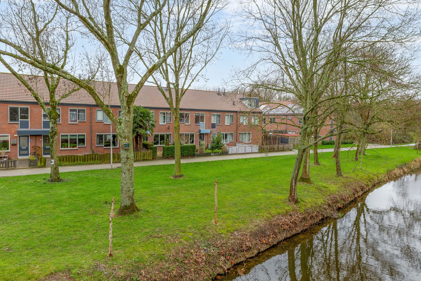 Photo 5 of Zilverreiger 8