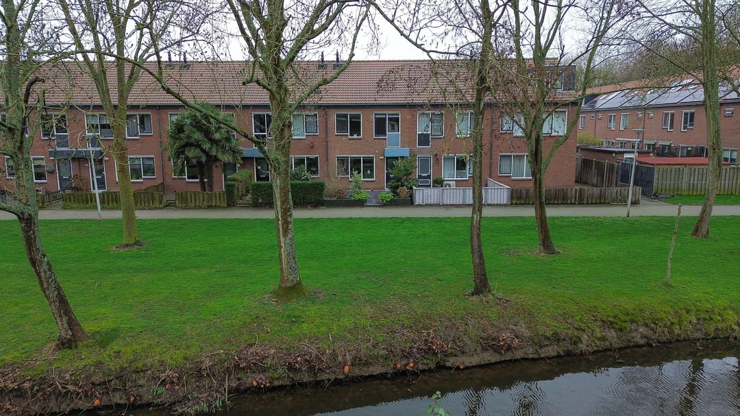Photo 37 of Zilverreiger 8