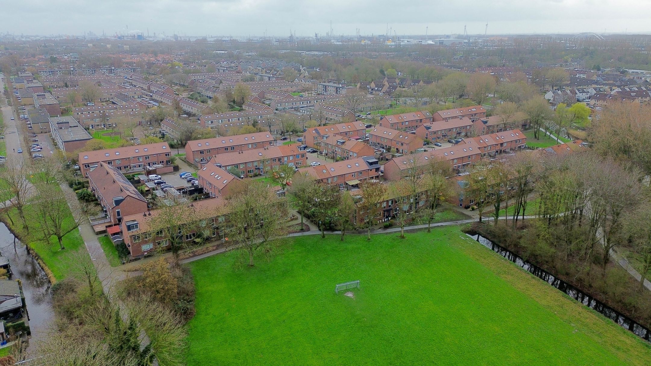 Photo 39 of Zilverreiger 8