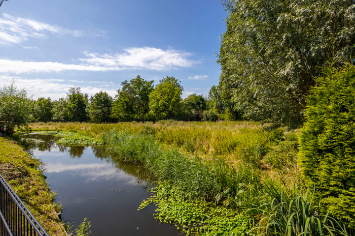 Foto 4 van Boezemlanden 6