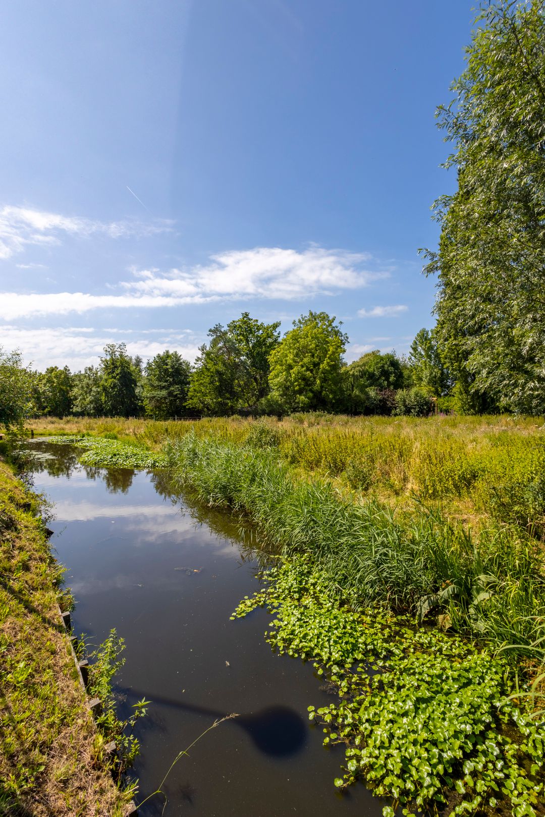 Foto 17 van Boezemlanden 6