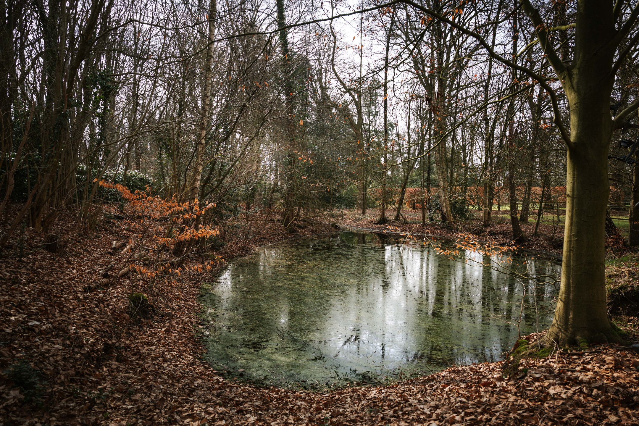 Foto 42 van Koerbergseweg 6