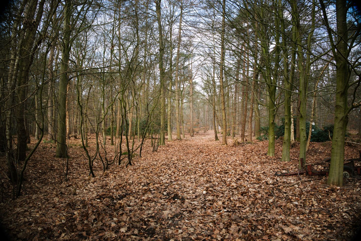 Foto 44 van Koerbergseweg 6