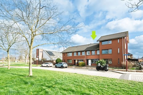 undefined main image