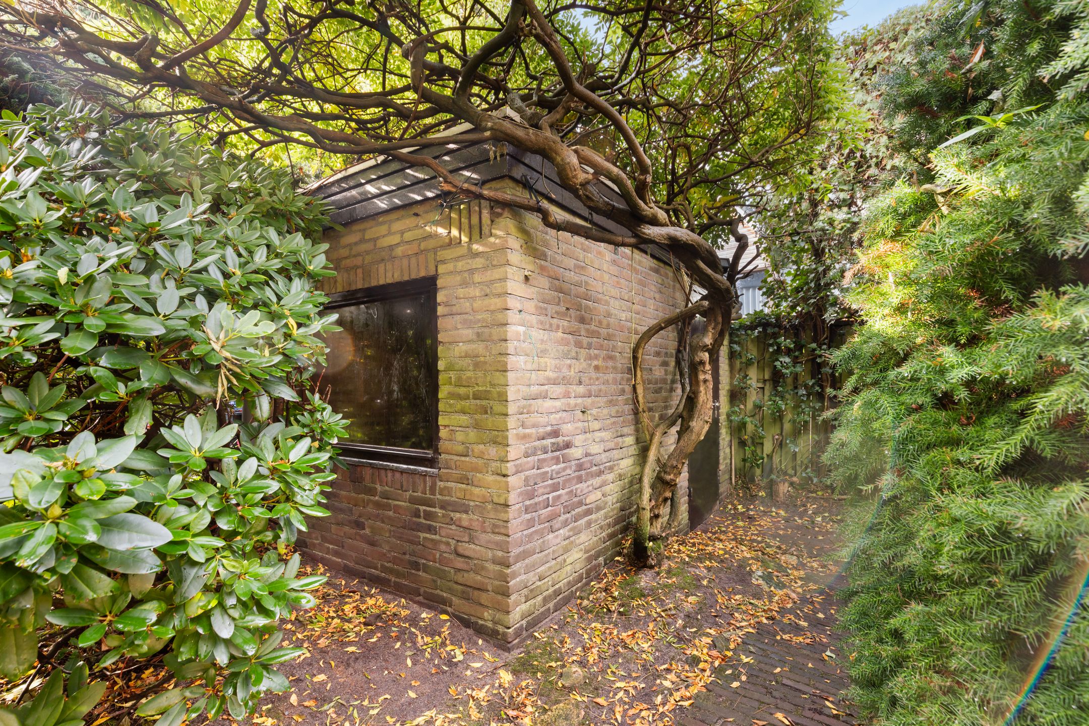 Foto 30 van Boomkleverlaan 6