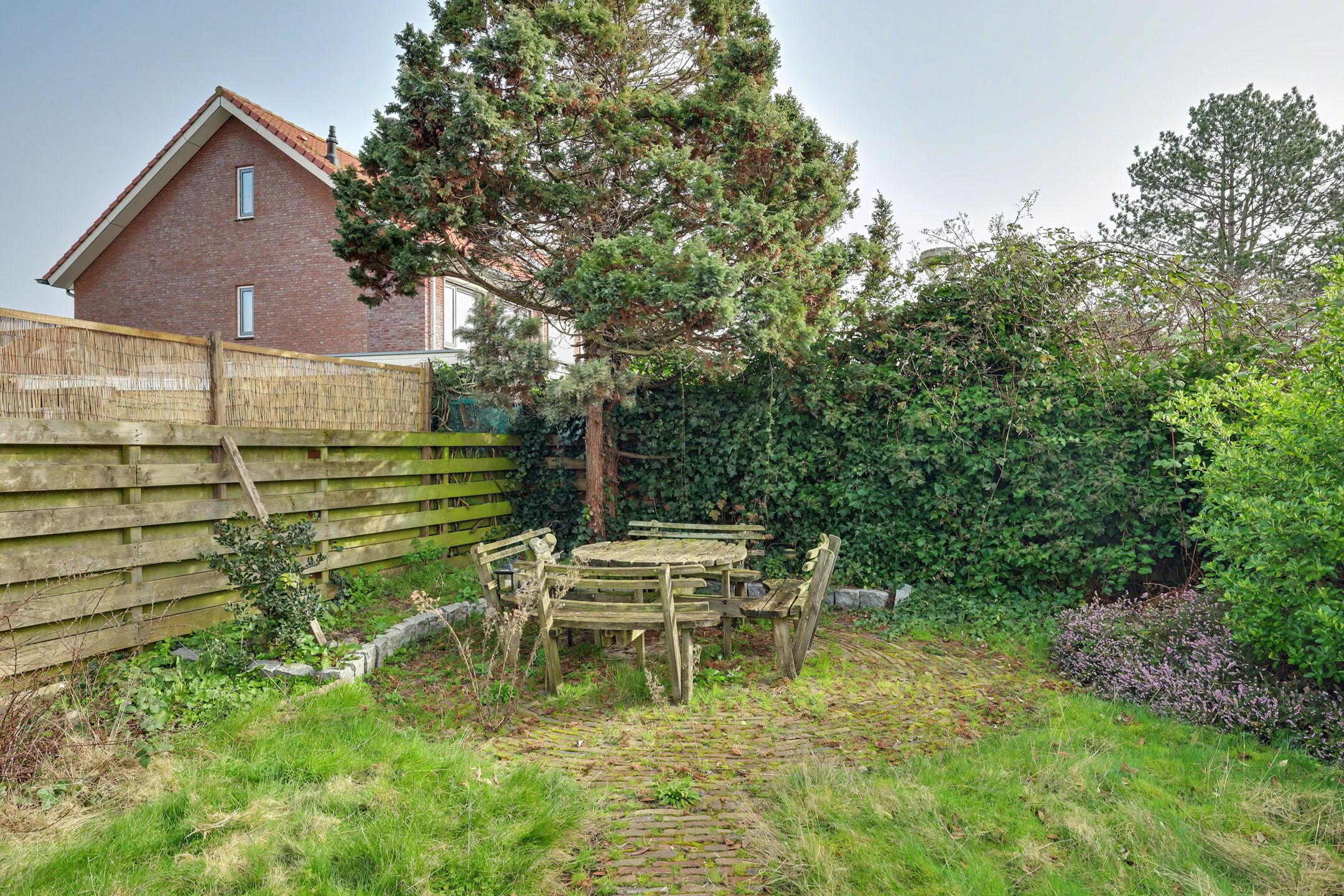 Foto 30 van Daniëlstraat 14