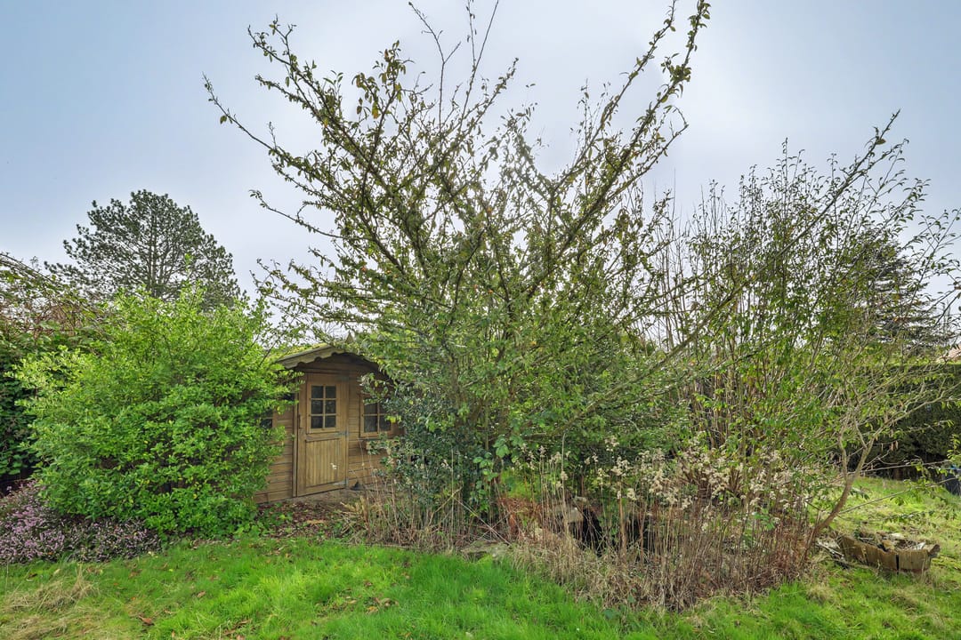 Foto 32 van Daniëlstraat 14