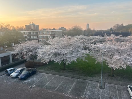 undefined main image