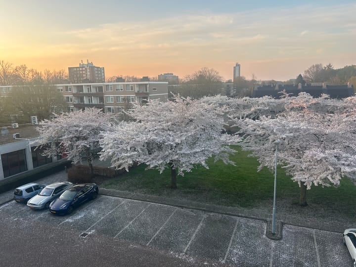 Photo 2 of Europalaan 76