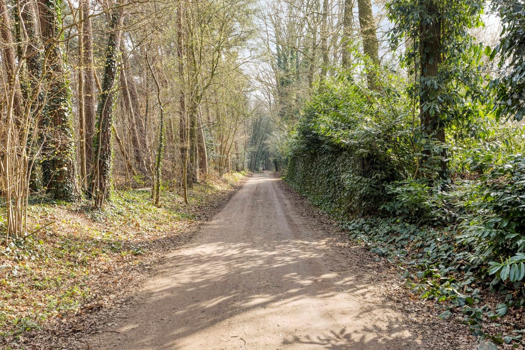 Photo 46 of Eikenbocht 56