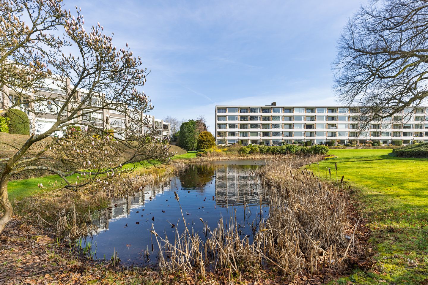 Foto 20 van Amersfoortsestraatweg 90-A016