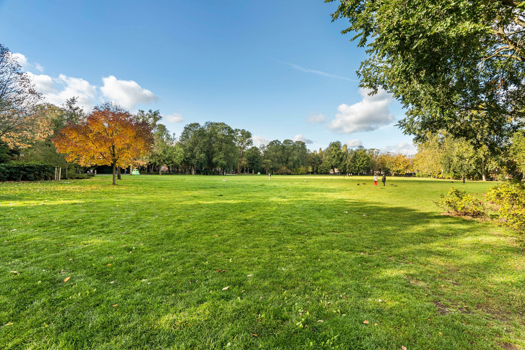 Foto 15 van Vrolikstraat 248-H