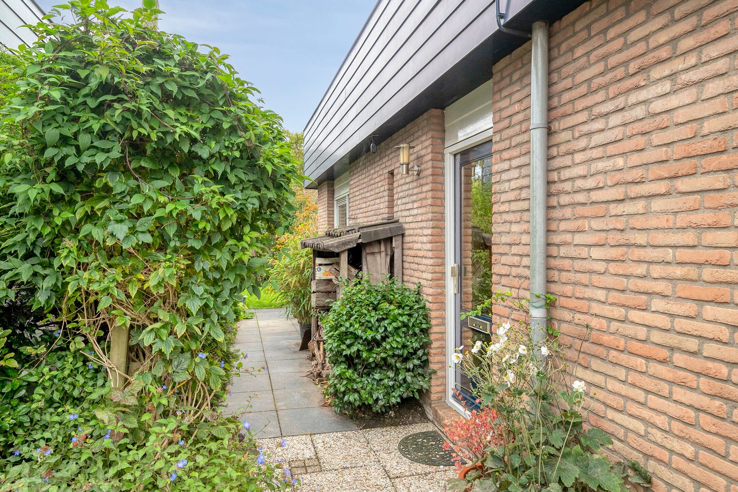 Foto 5 van Smaragd 42