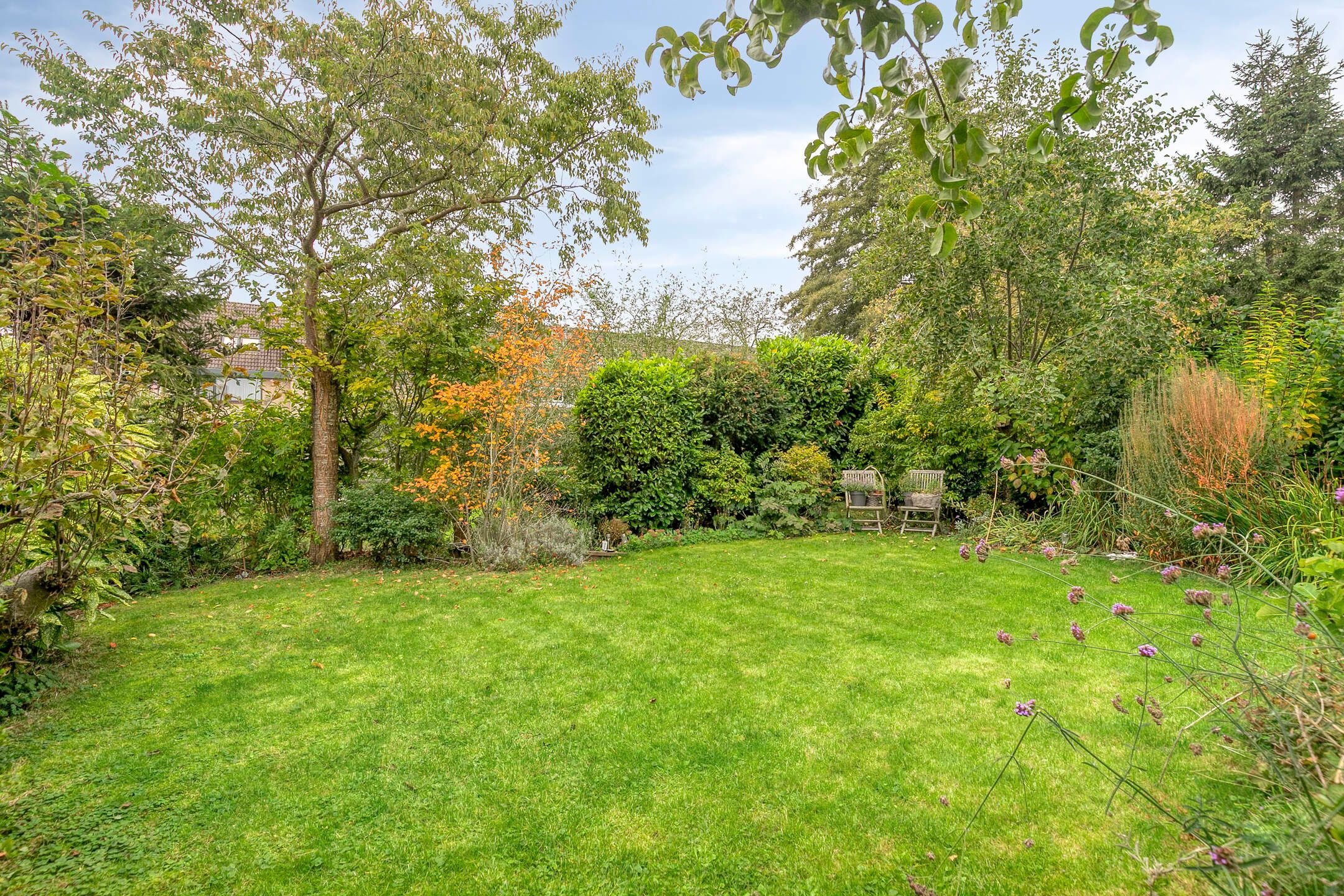 Foto 12 van Smaragd 42