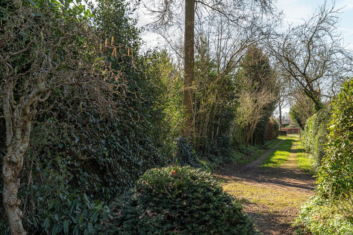 Foto 49 van Brouwerslaan 14