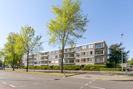 Europalaan thumbnail