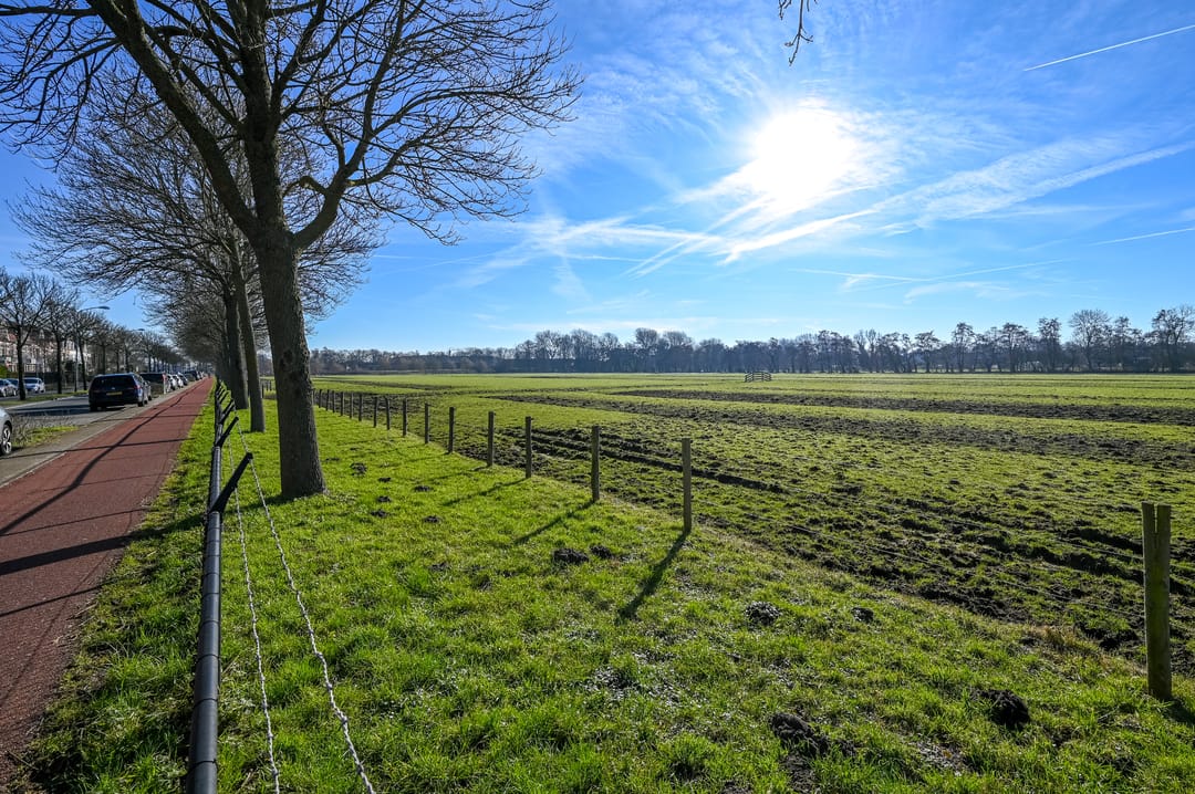 Foto 41 van Kleverlaan 43