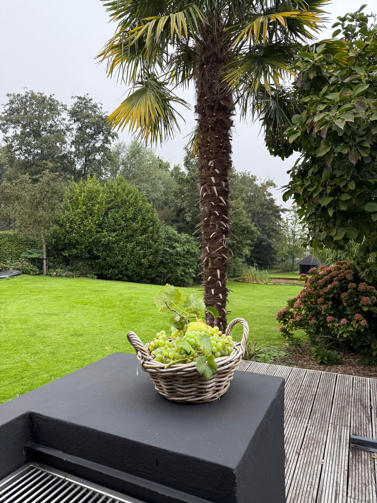 Photo 55 of Korteraarseweg 20