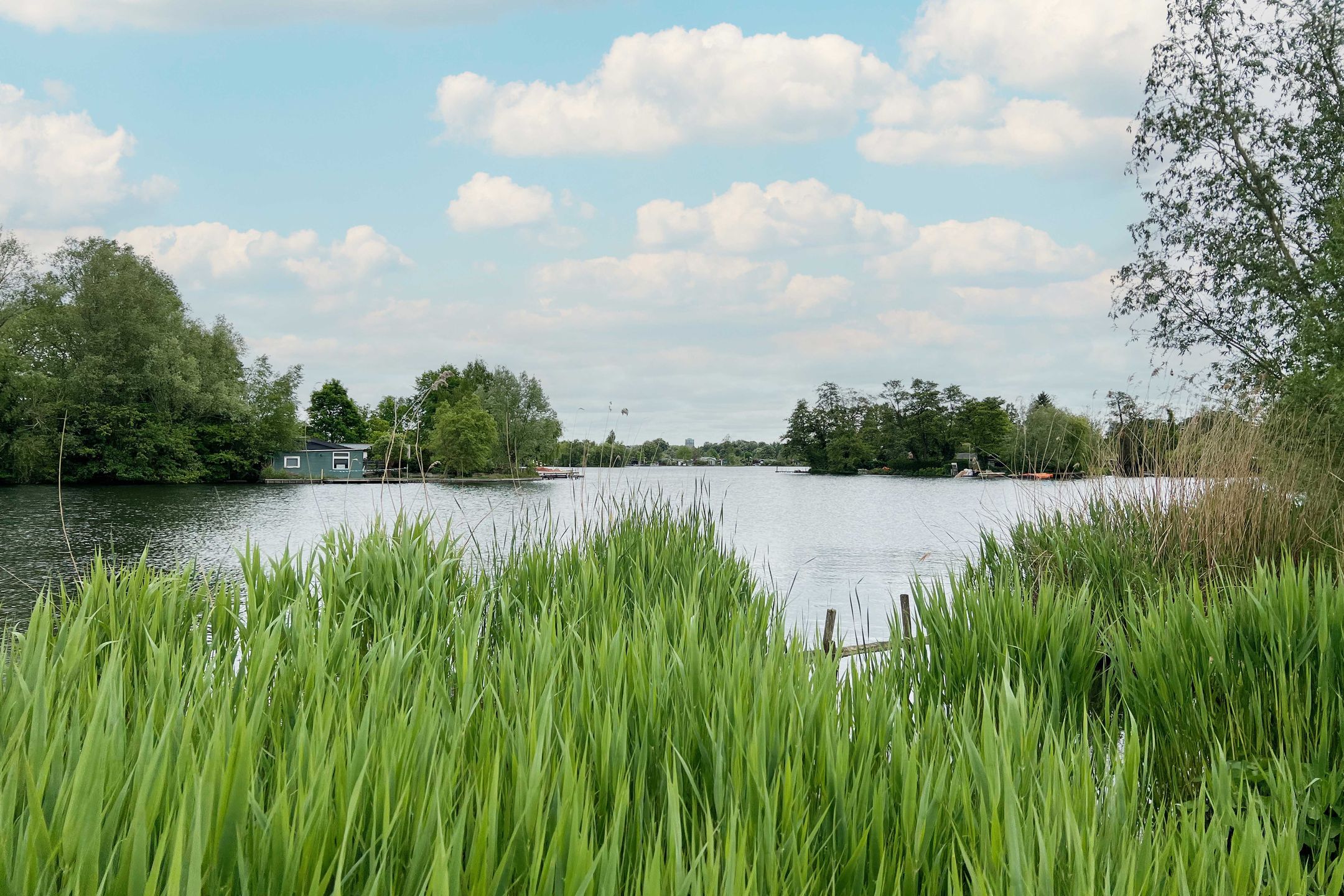 Foto 30 van Ahornlaan 24