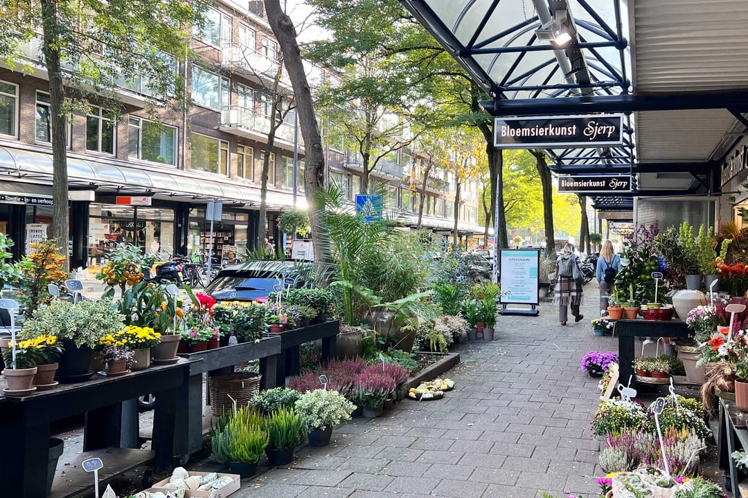 Foto 31 van Ahornlaan 24