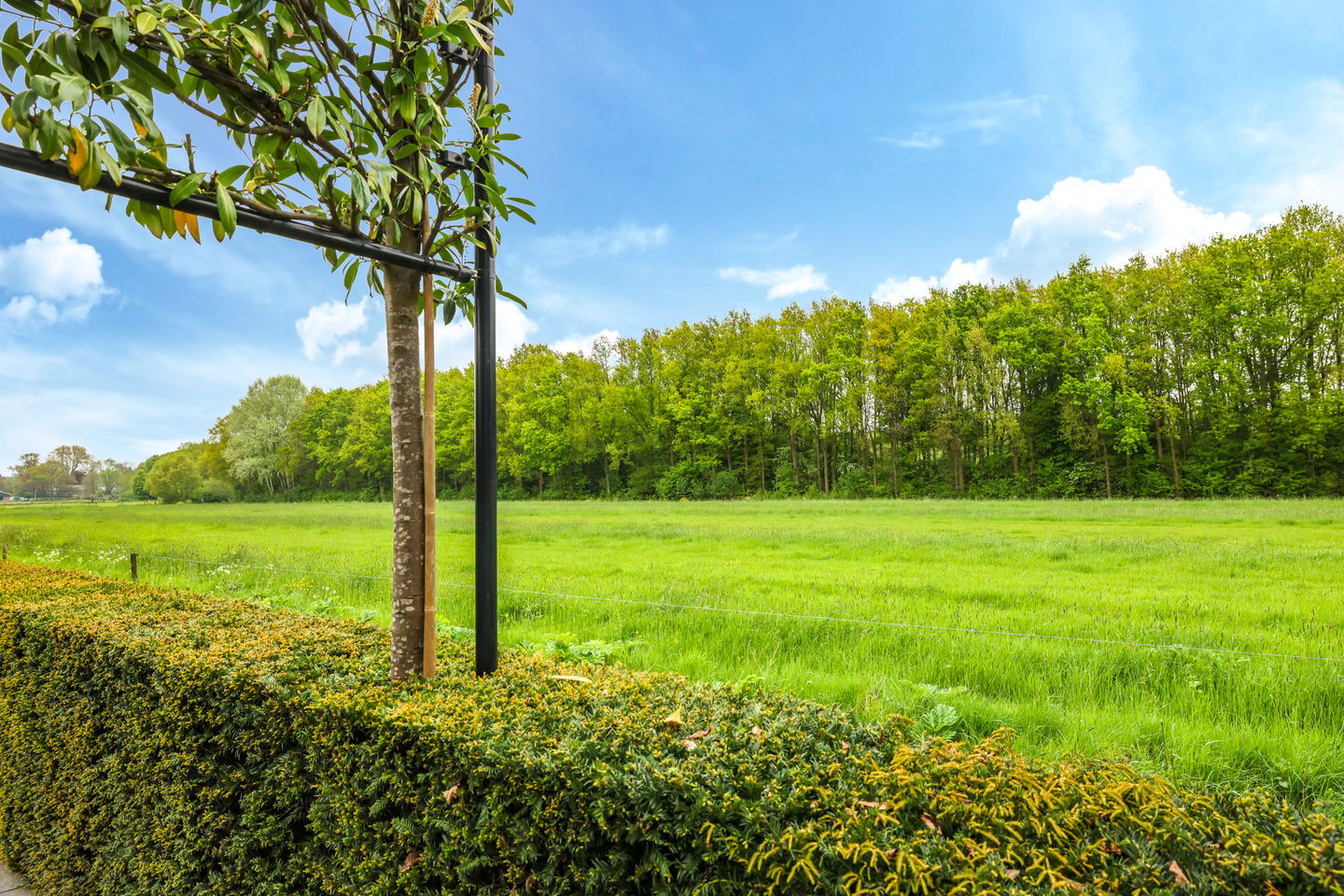 Photo 94 of Tuin van de Burgemeester 34