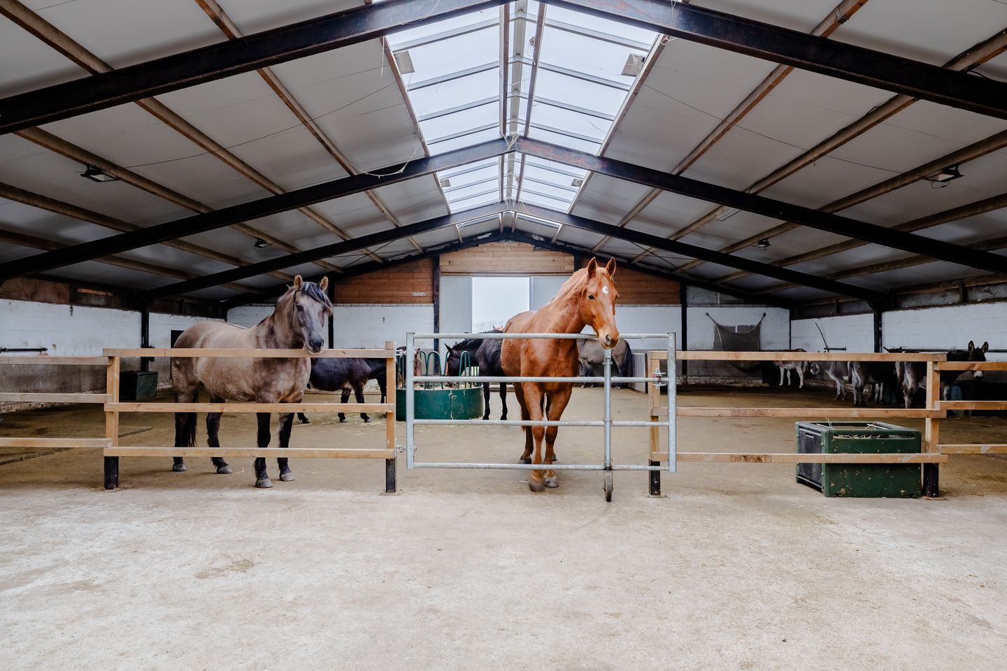 Bekijk foto 3 van Vogelmeerweg