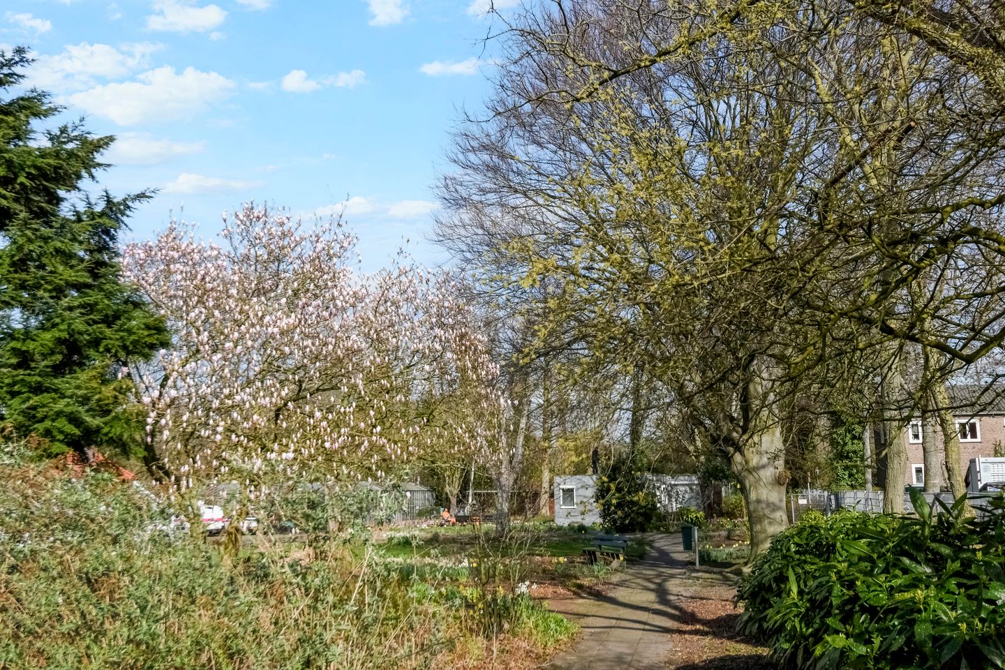 Foto 50 van Kornoeljestraat 14